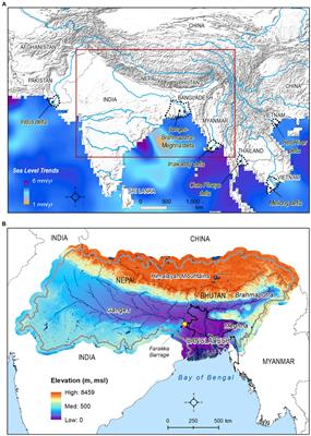 What drives changes in surface water salinity in coastal Bangladesh?